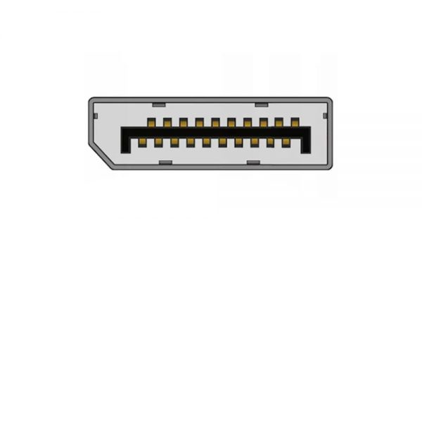 Display Port / DP